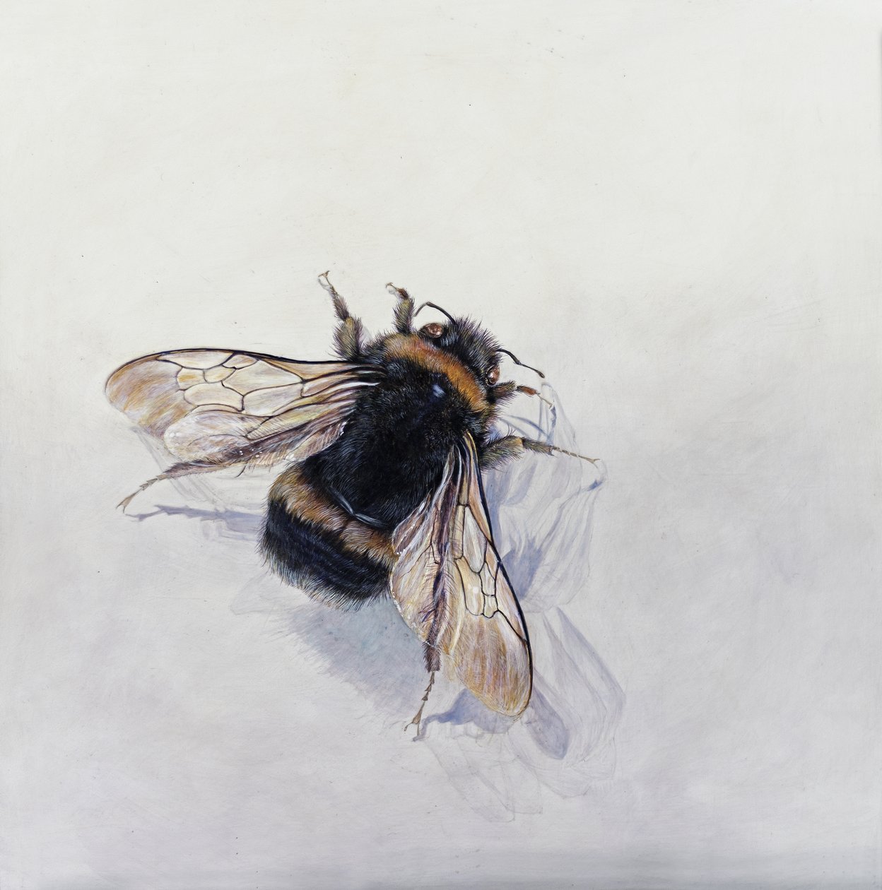 Bombus terrestris 11 (acryl op gegessuurd hout) door Odile Kidd