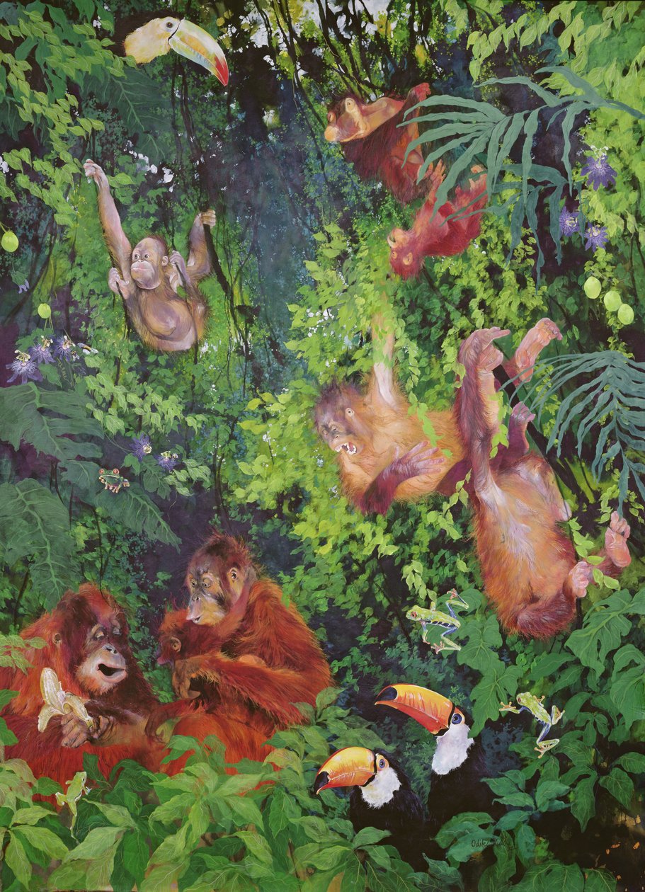 Orang-oetangs en toekans door Odile Kidd