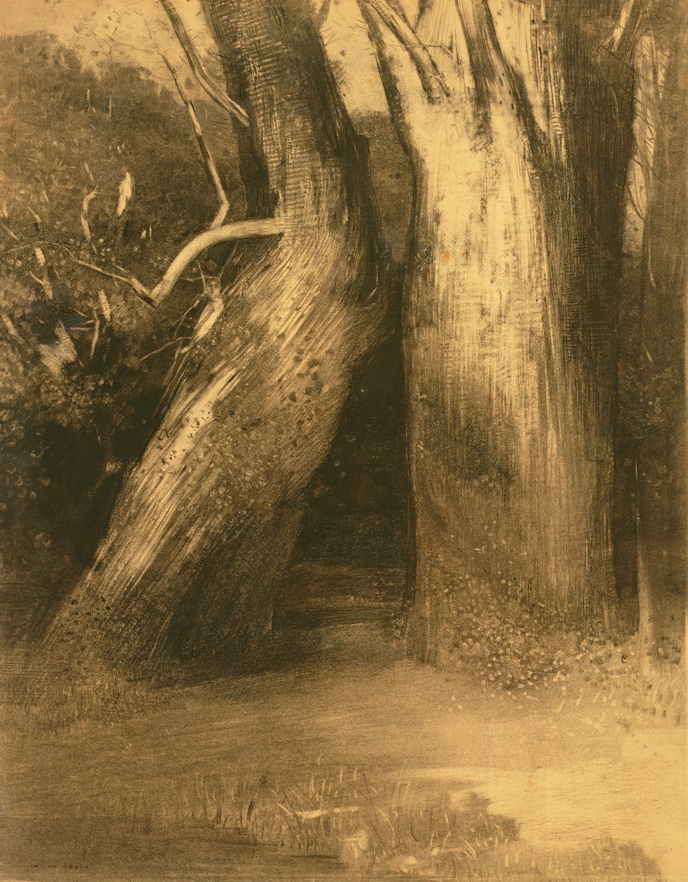 Twee bomen, c.1875 door Odilon Redon
