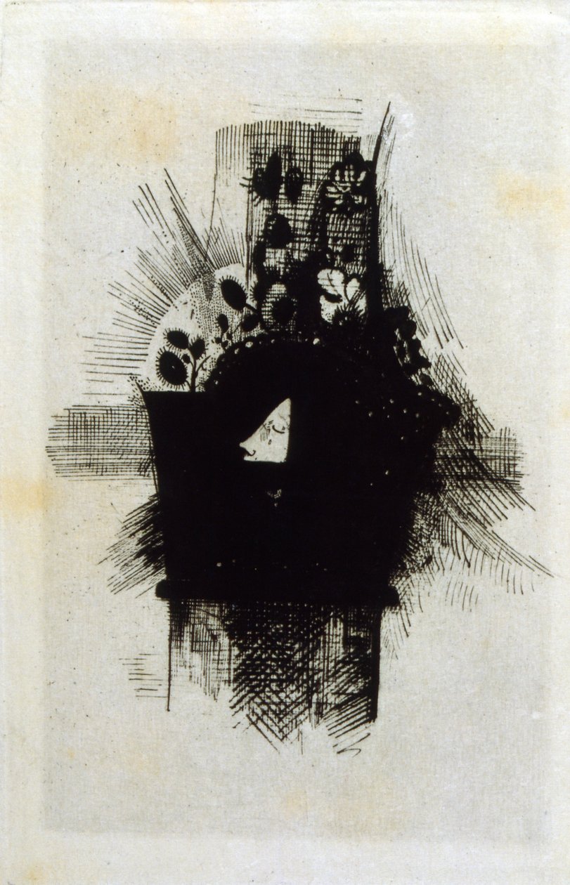 Les Fleurs du mal door Odilon Redon