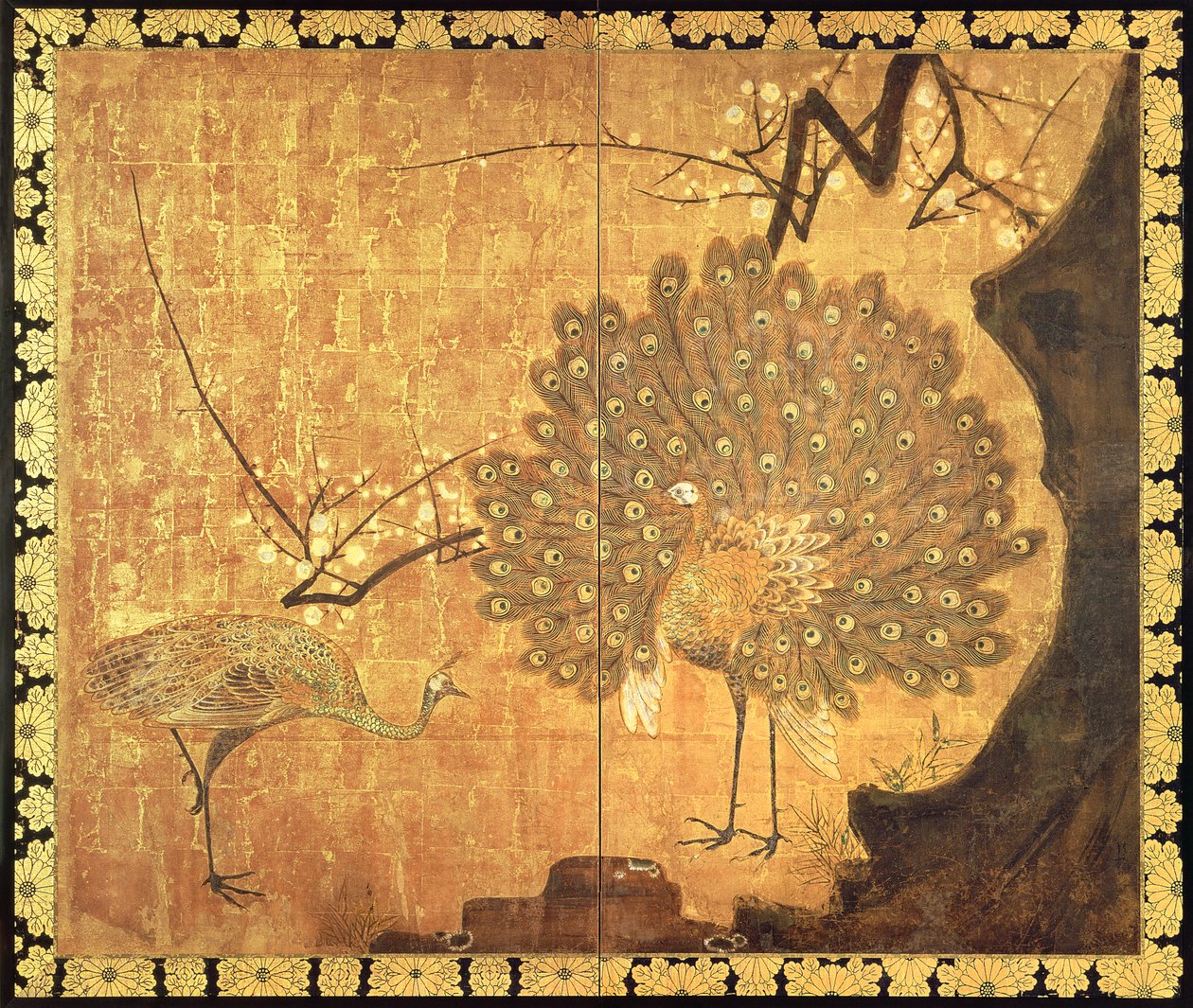 Pauwen, Edo-periode door Ogata Korin