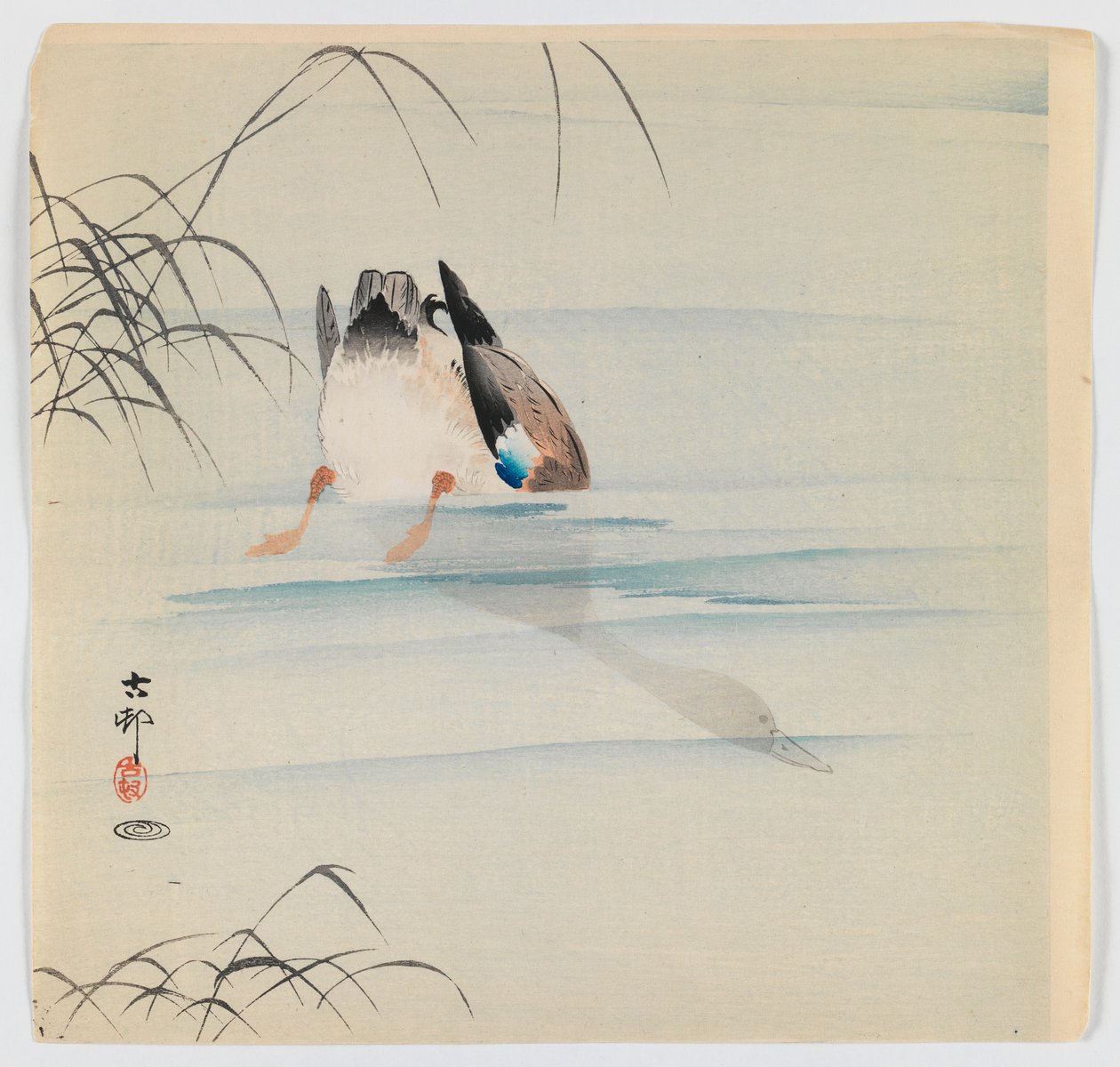 Duikende wilde eend, c.1910 door Ohara Koson