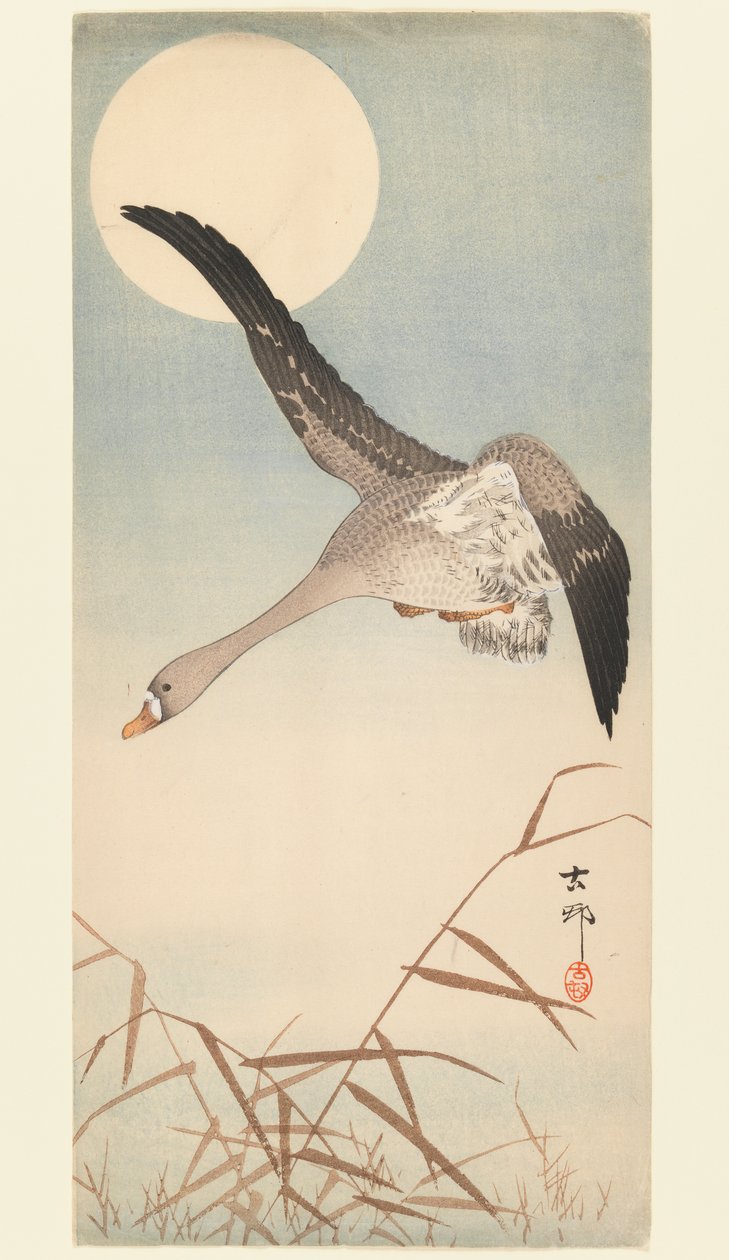 Gans vliegend in maanlicht door Ohara Koson
