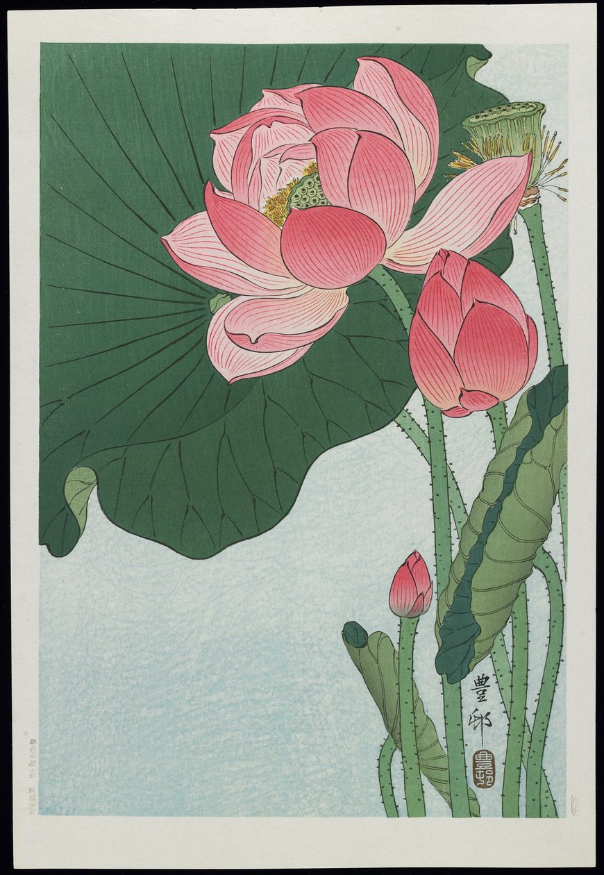 Lotus, 1930s door Ohara Koson
