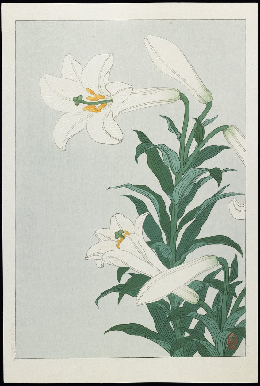 Witte lelie, 1930s door Ohara Koson