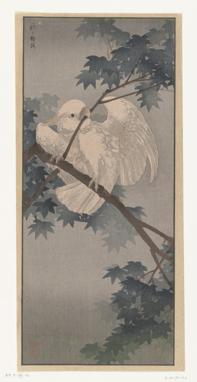 Geelkuif kaketoe in boom door Ohara Koson (attributed to)
