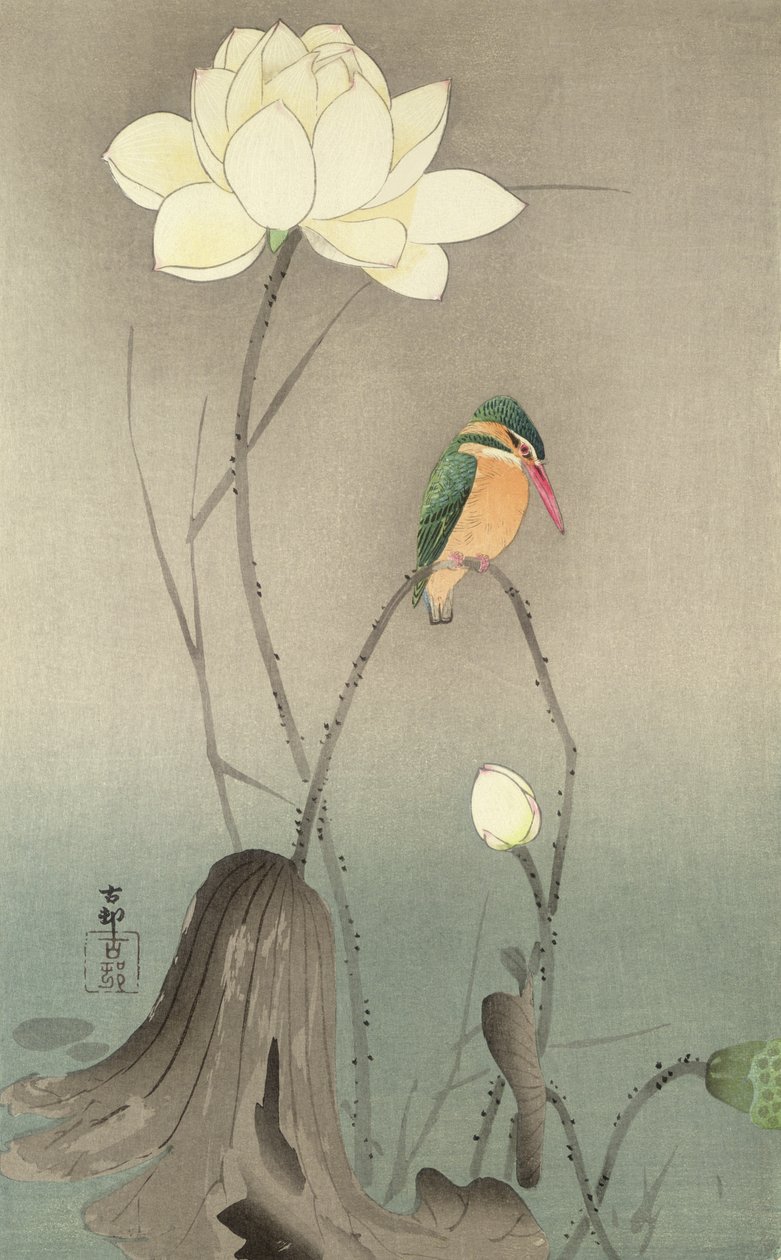 Een IJsvogel en een lotus, ca. 1910 door Ohara Koson