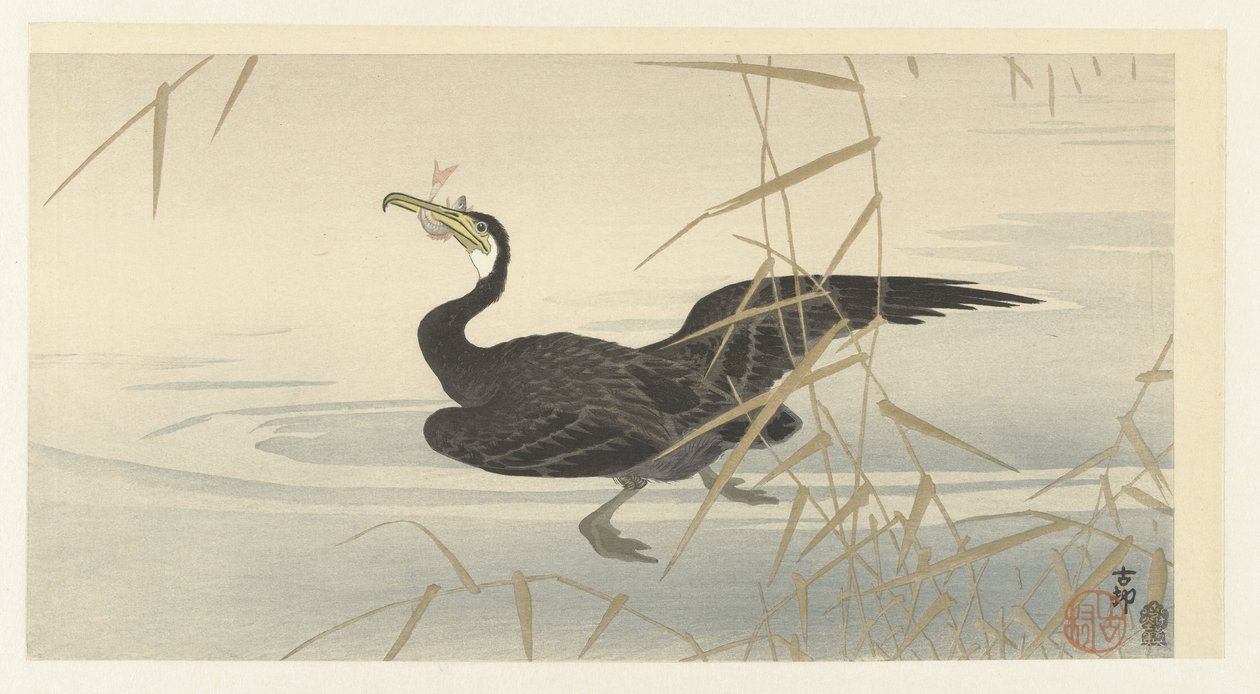 Aalscholver met vis door Ohara Koson