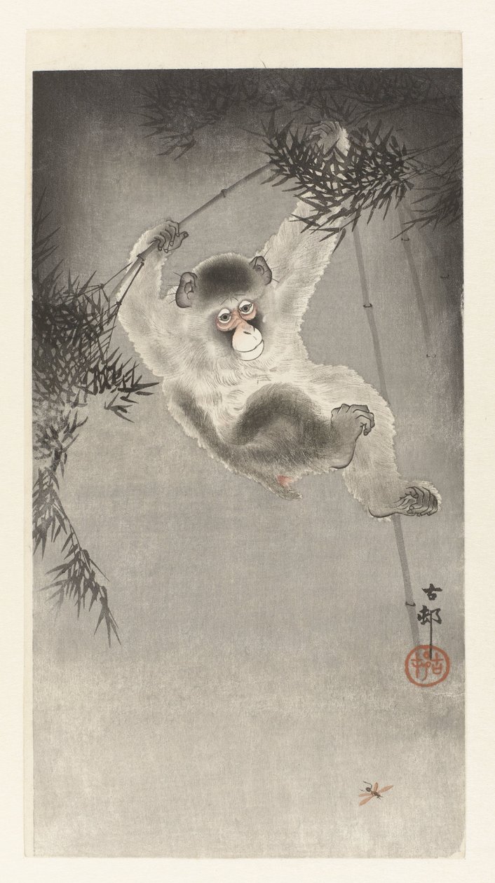 Aap, hangend aan bamboetak door Ohara Koson