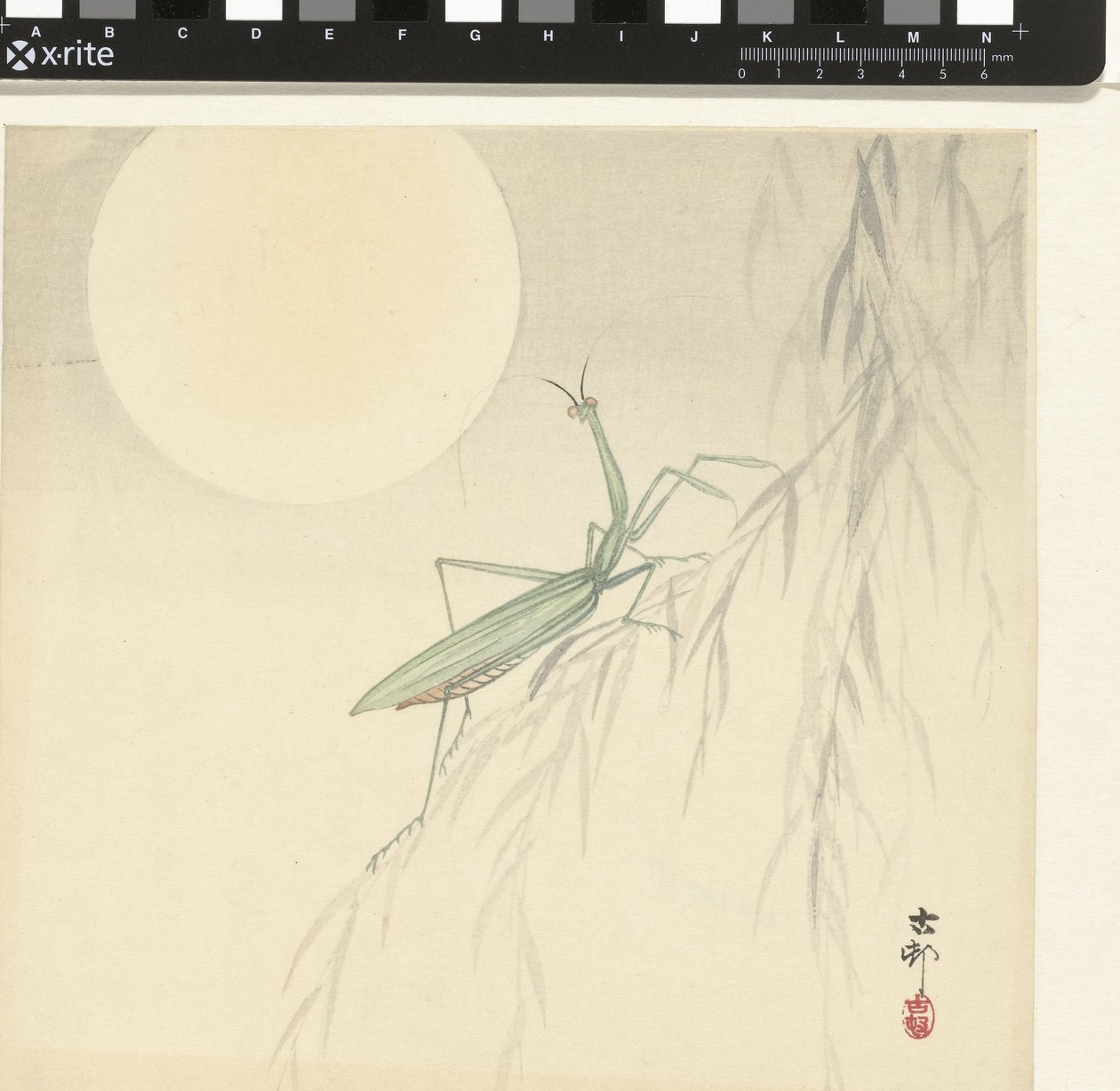 Bidsprinkhaan door Ohara Koson