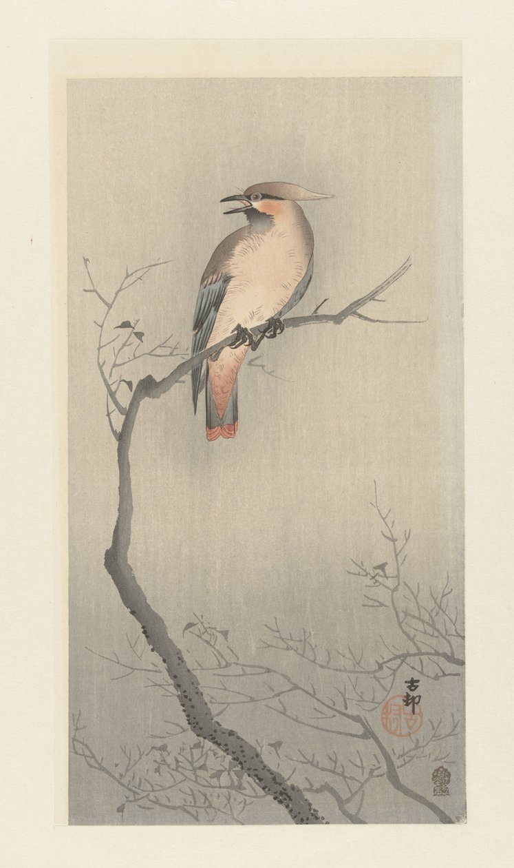 Pestvogel op een Tak door Ohara Koson