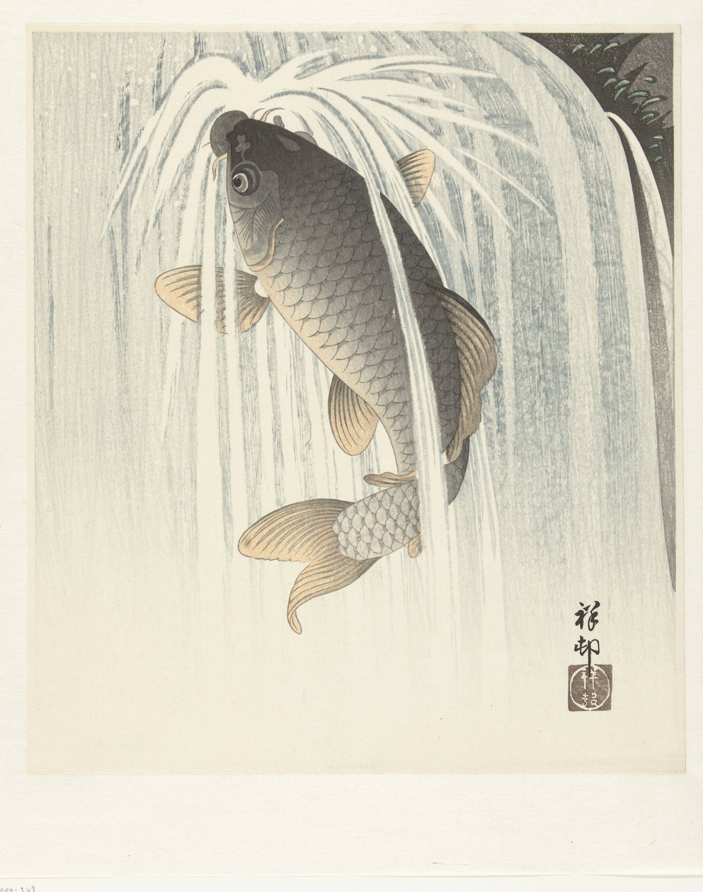 Karper door Ohara Koson