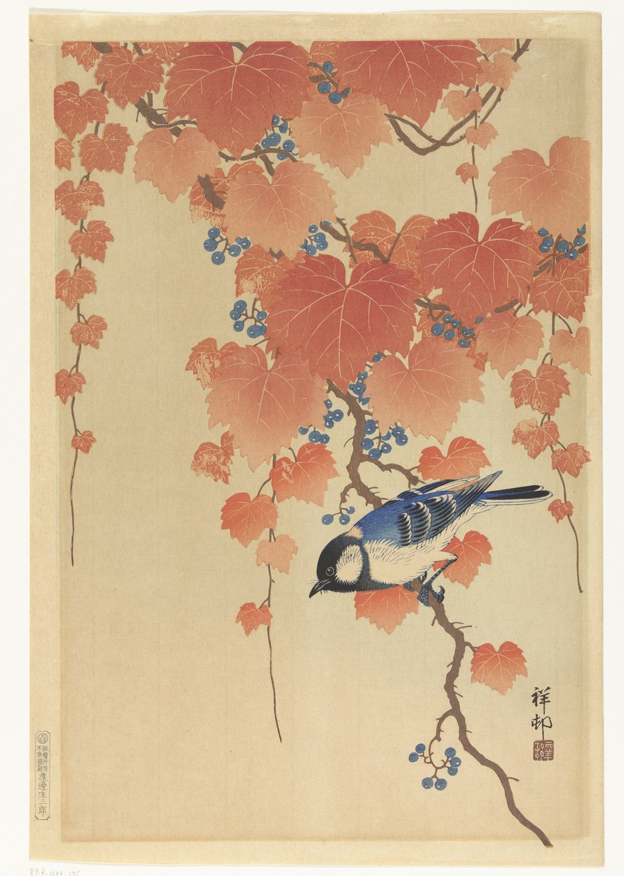 Koolmees op paulownia tak door Ohara Koson