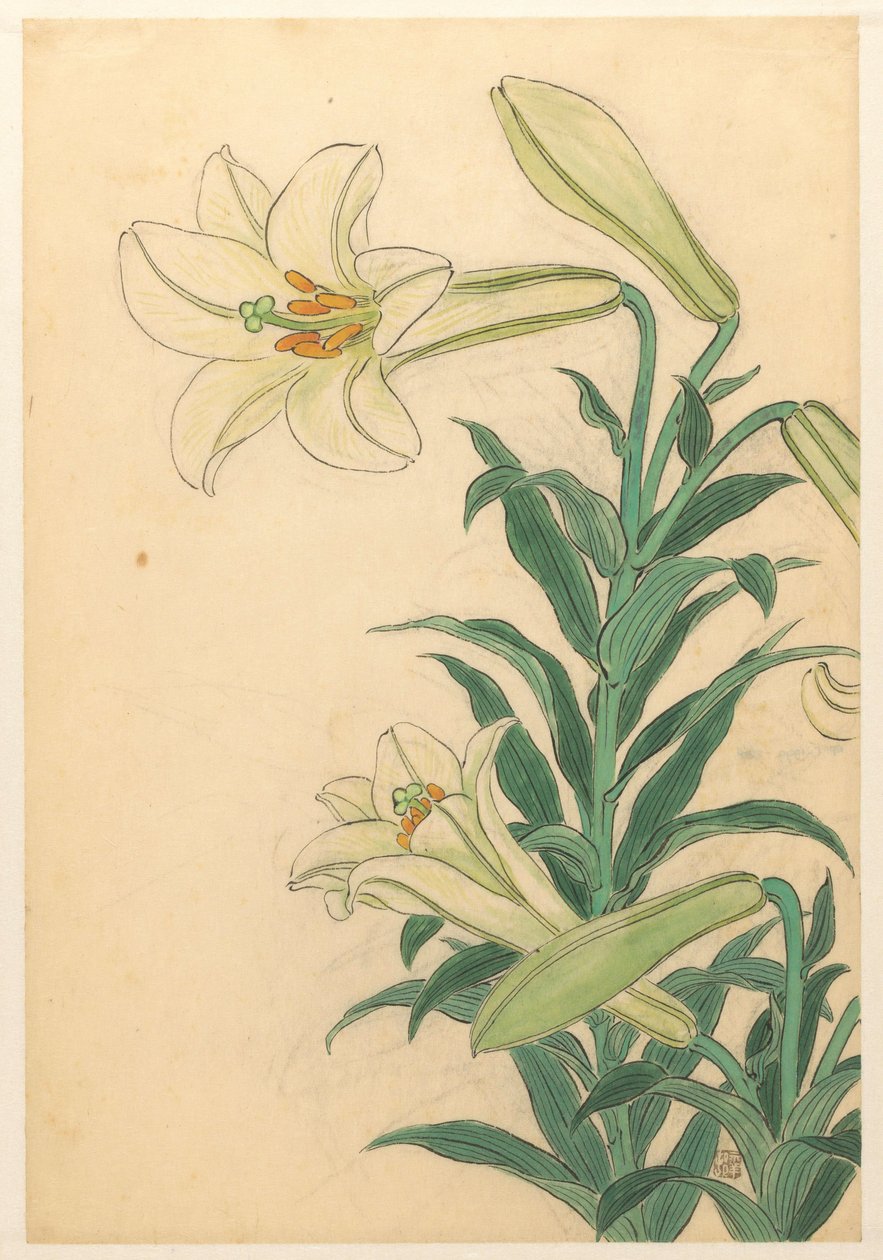 Lelies Teppoyuri door Ohara Koson