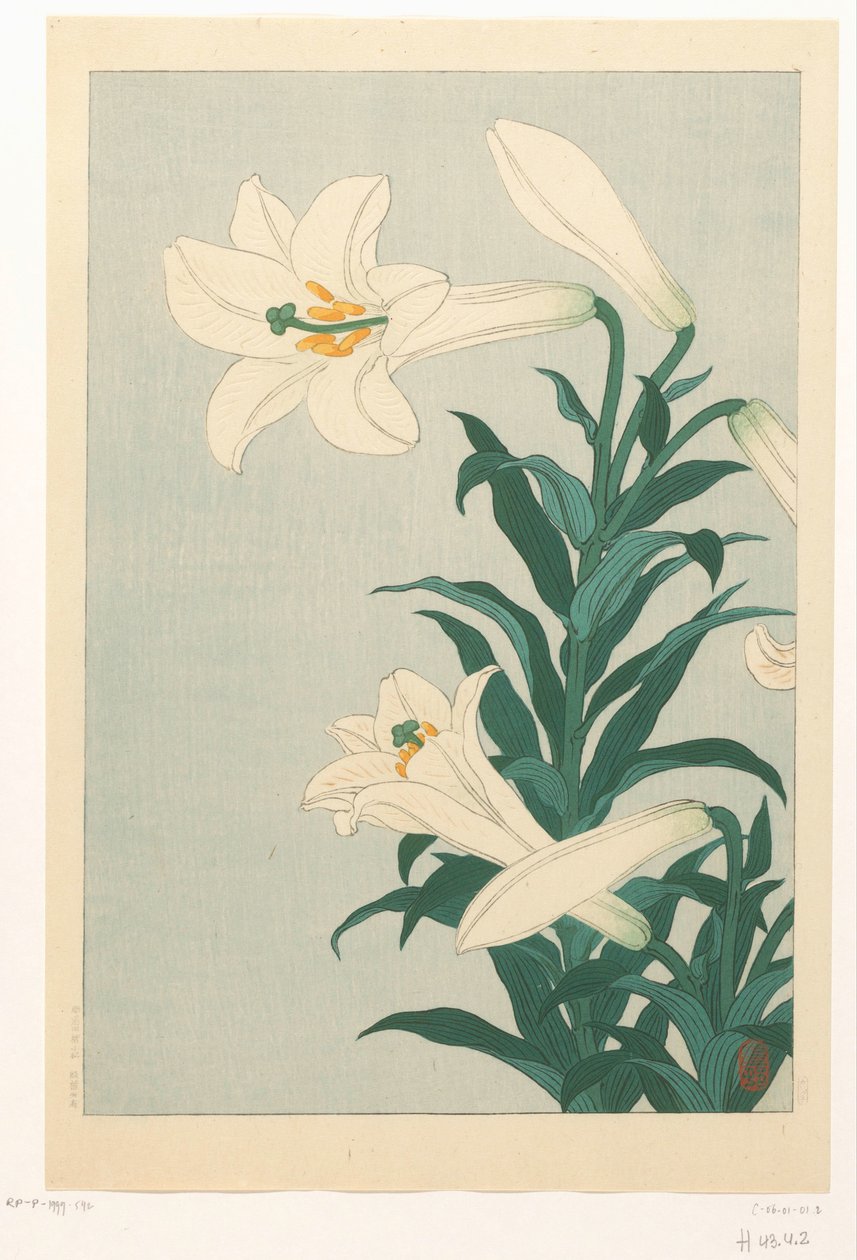 Lelies door Ohara Koson