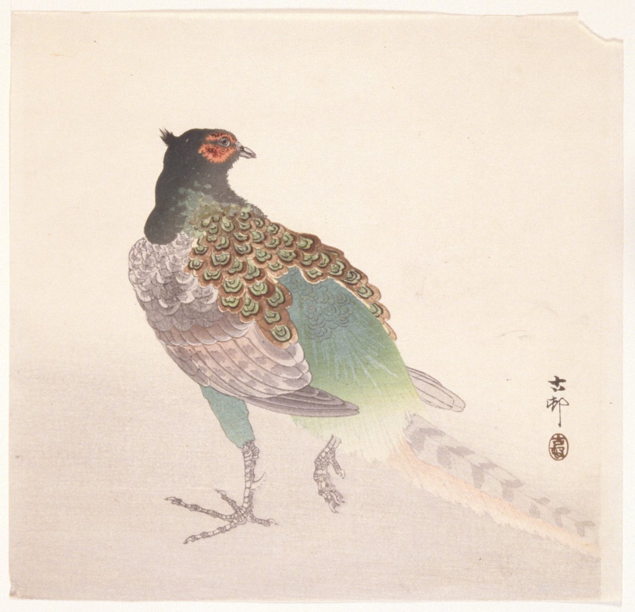 Fazant door Ohara Koson