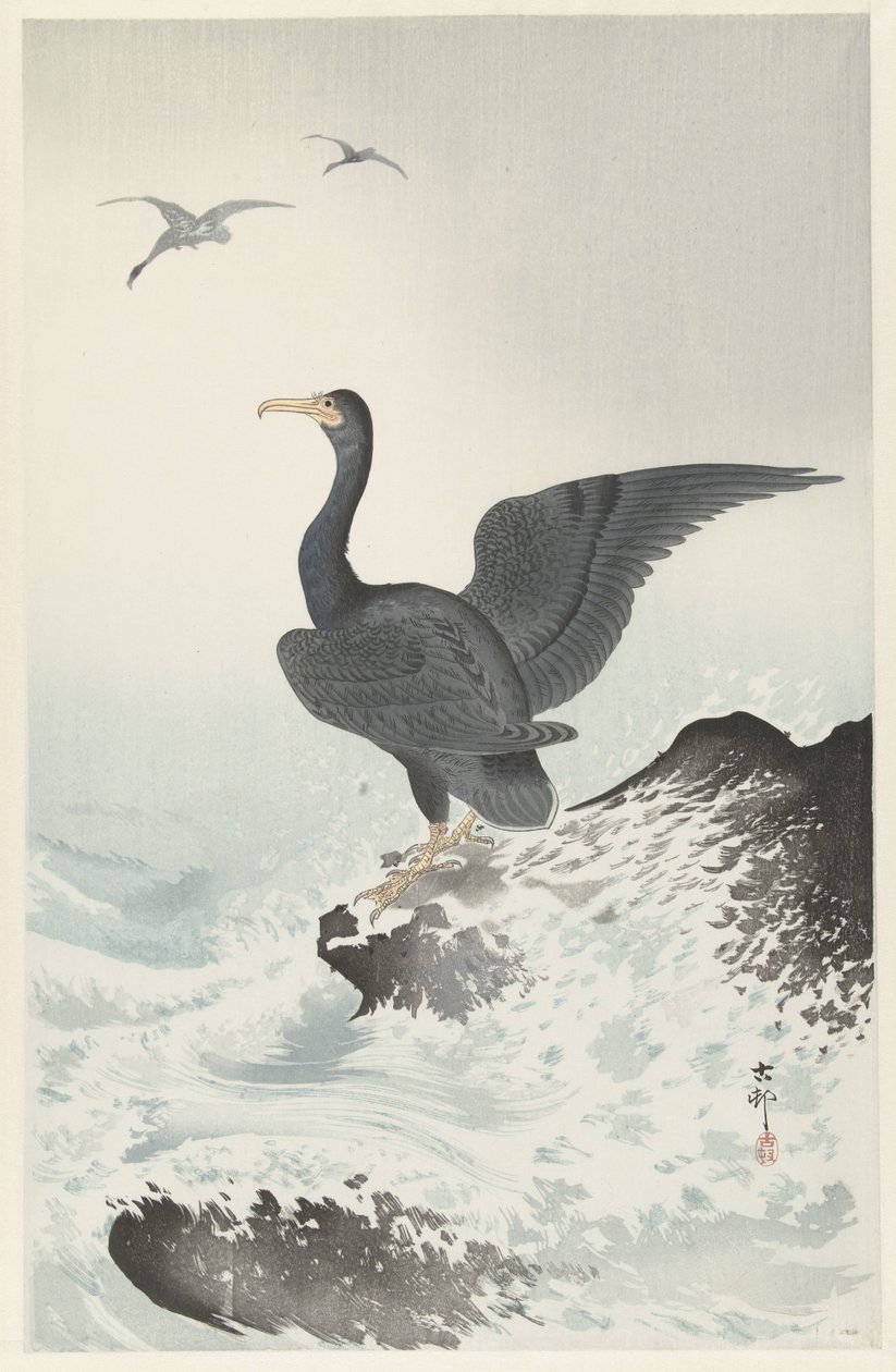 Roodmaskeraalscholver op rots door Ohara Koson