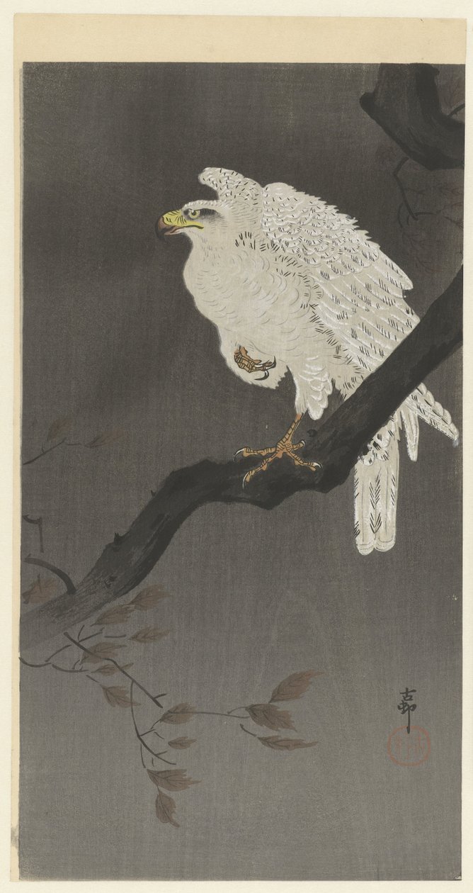 Sneeuwadelaar op een tak door Ohara Koson