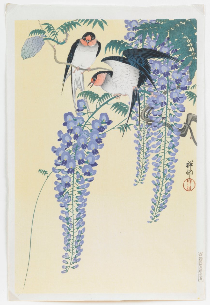 Zwaluwen en Wisteria door Ohara Koson