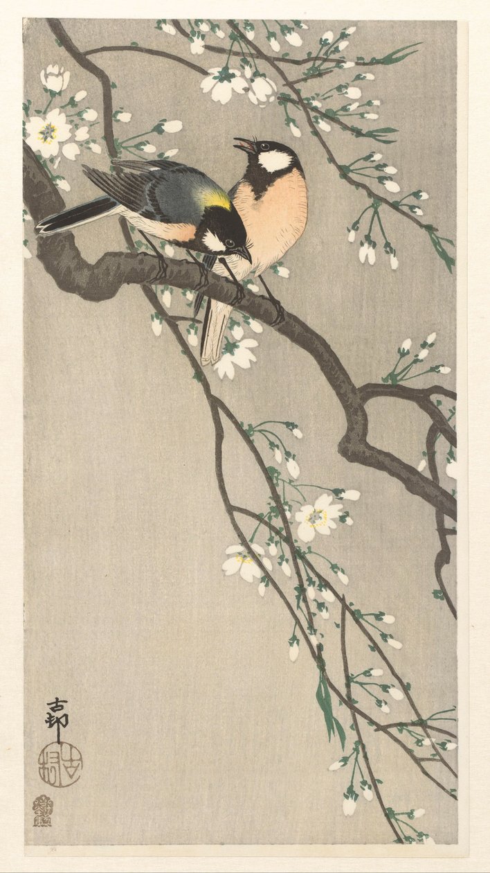 Mezen op kersen tak door Ohara Koson