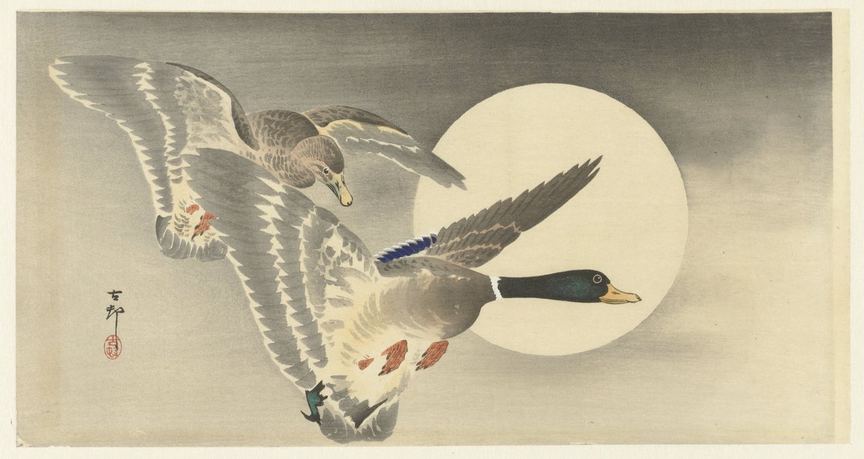 Twee eenden bij volle maan door Ohara Koson