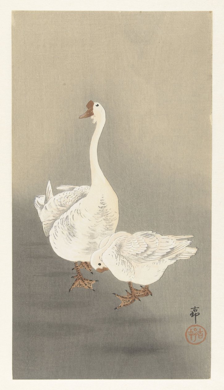Twee ganzen door Ohara Koson