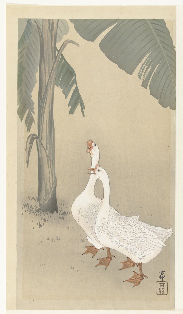 Twee ganzen bij bananenboom door Ohara Koson