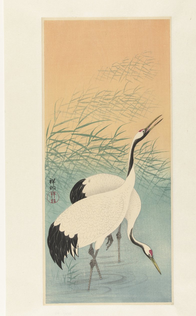 Twee kraanvogels door Ohara Koson