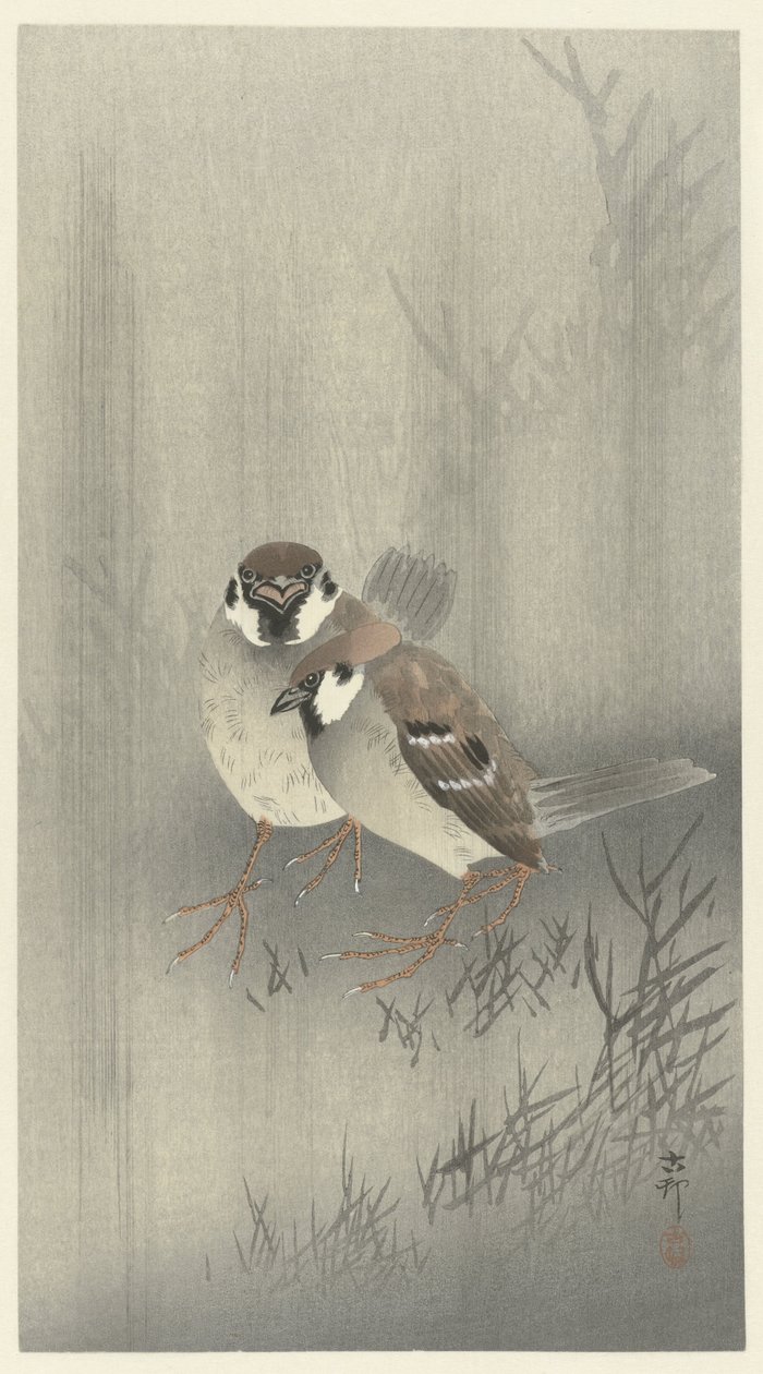 Twee ringmussen in de regen door Ohara Koson
