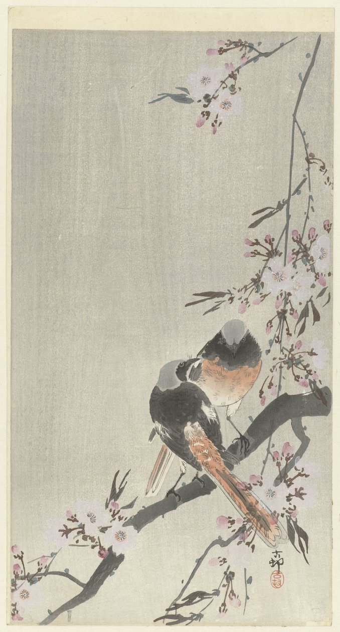 Twee siegelroodstaarten met kersenbloesem door Ohara Koson