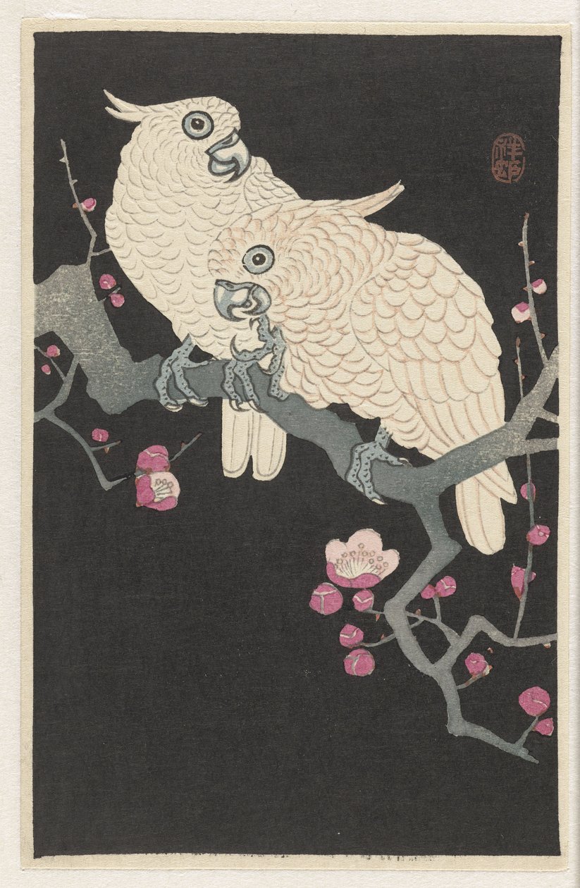 Twee kaketoes en pruimenbloesem door Ohara Koson