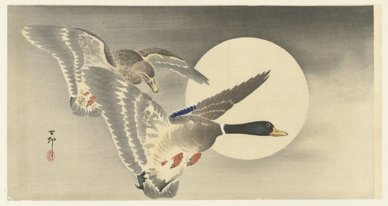 Twee eenden met volle maan door Ohara Koson