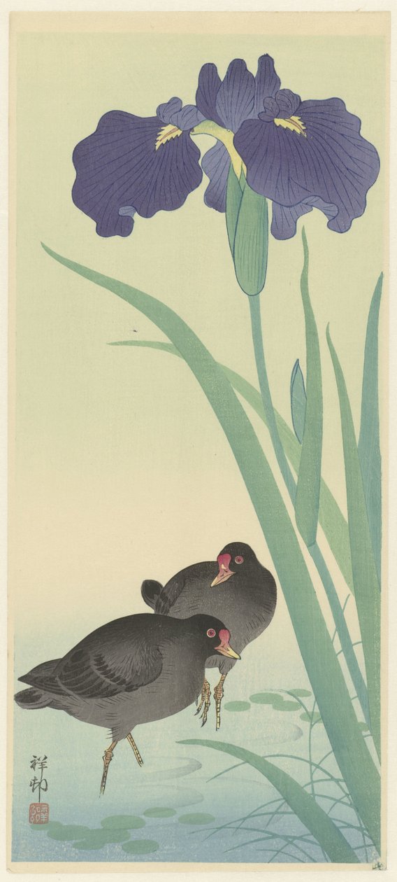 Waterhoentjes en iris door Ohara Koson