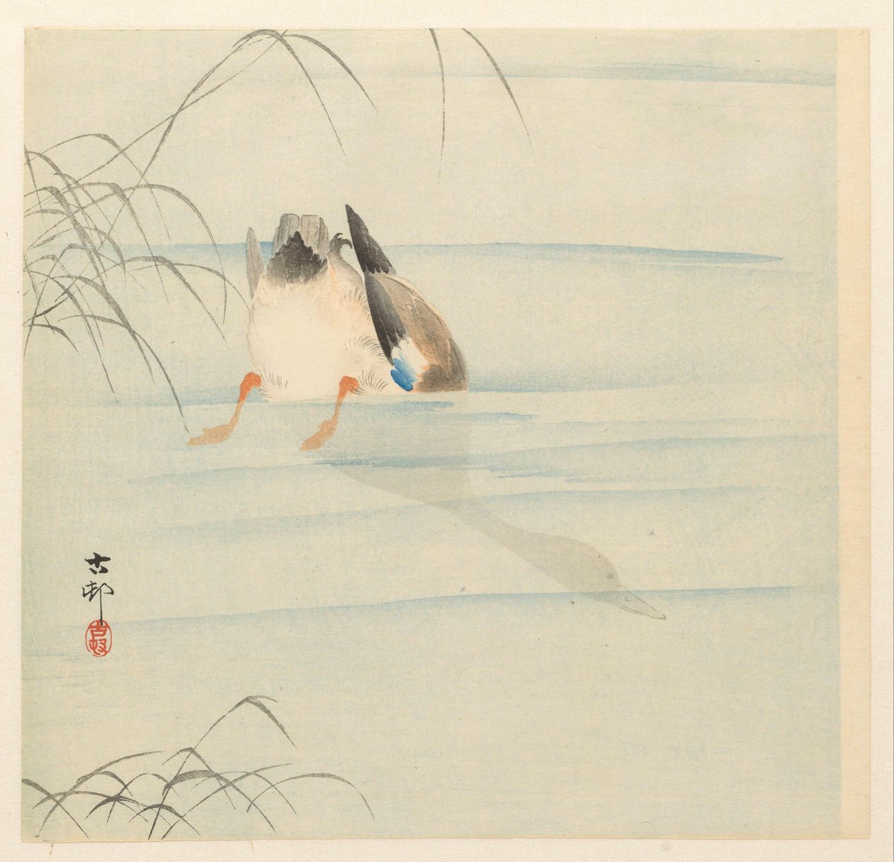 Wilde eend, de kop onder water door Ohara Koson