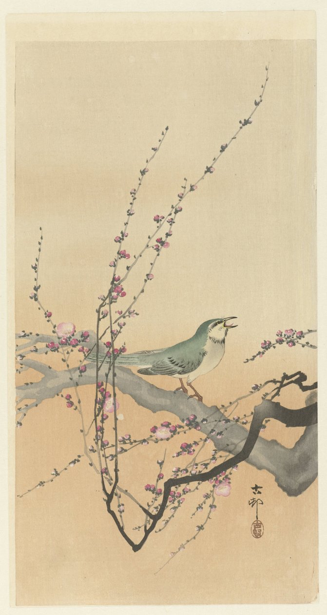 Zangvogel en pruimenbloesem door Ohara Koson
