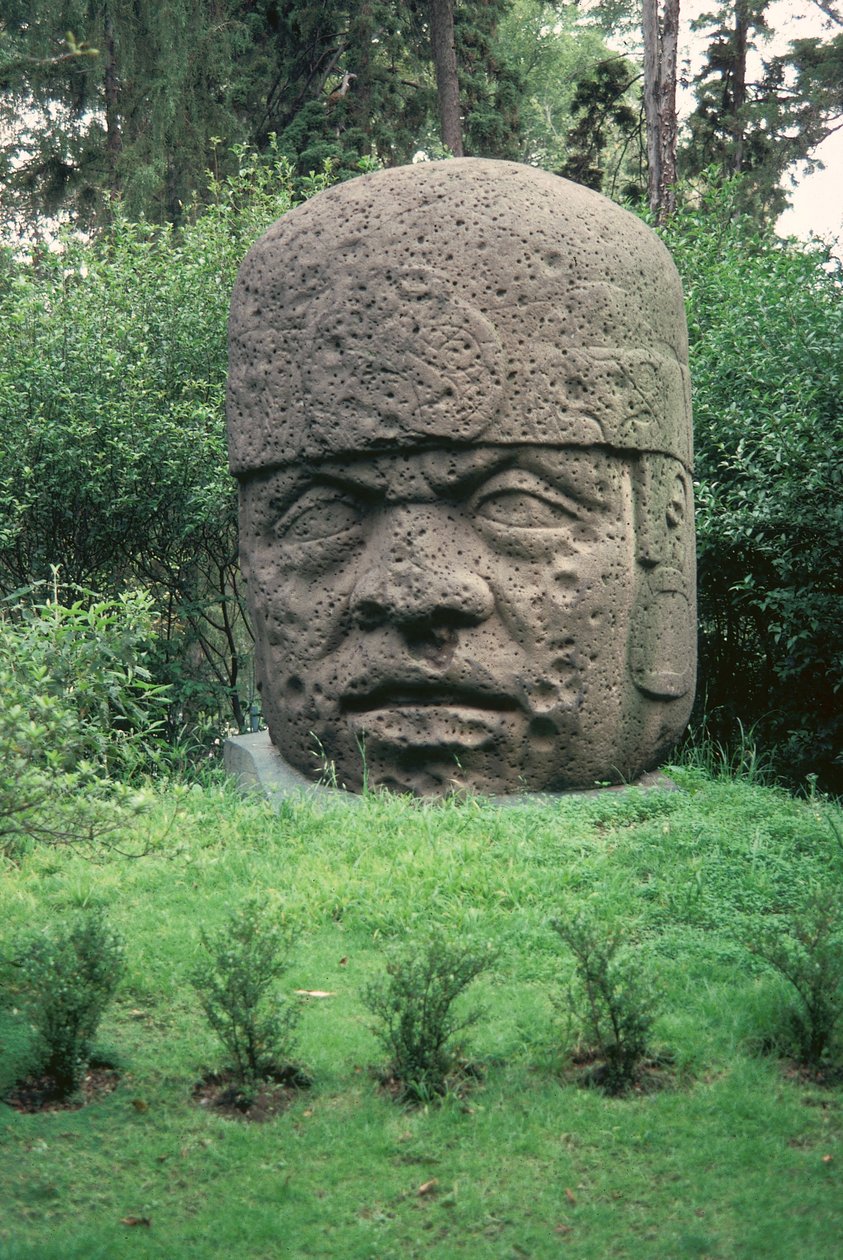 Kolossaal hoofd door Olmec