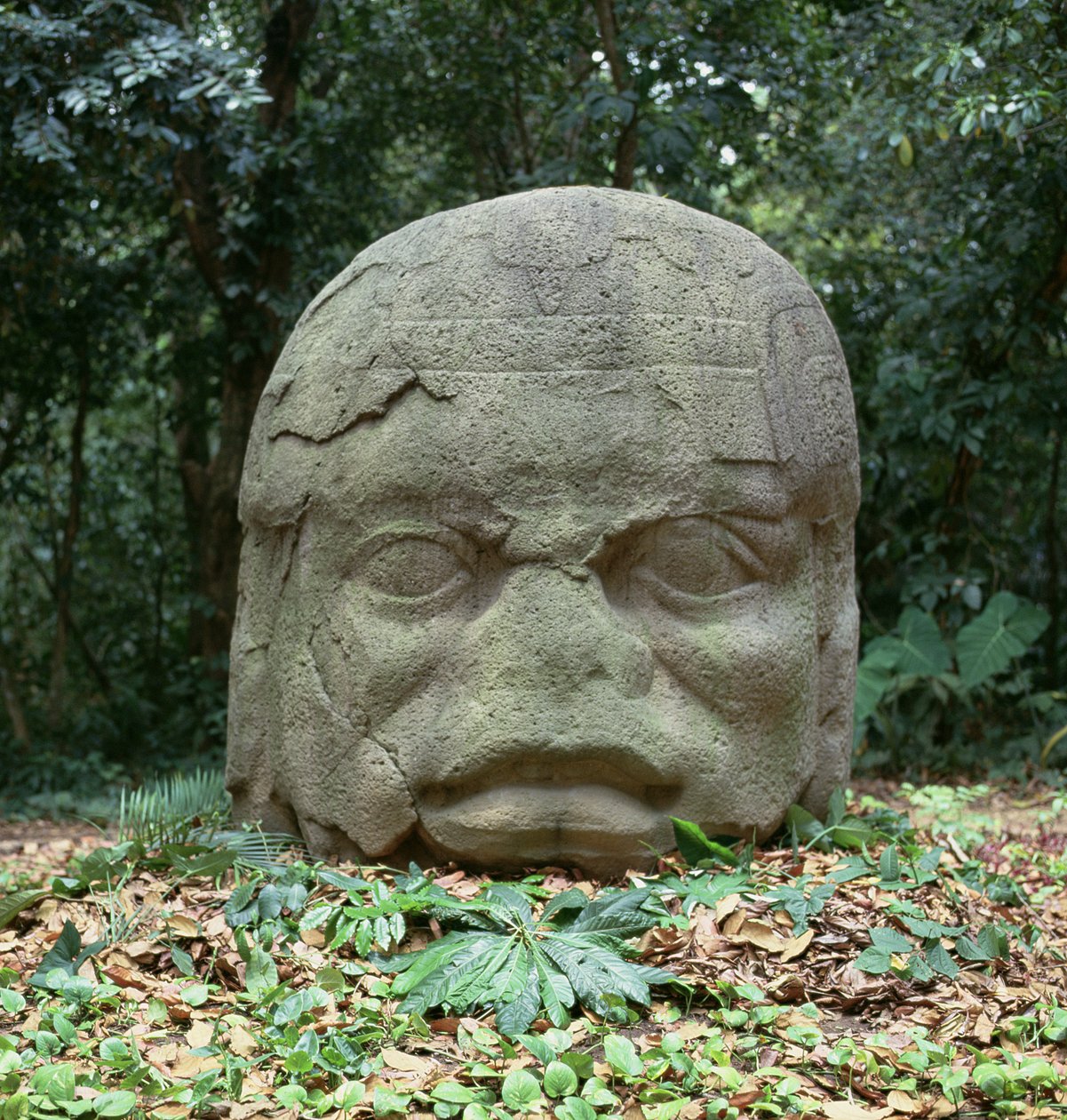 Kolossaal hoofd 4, Pre-Klassieke Periode door Olmec