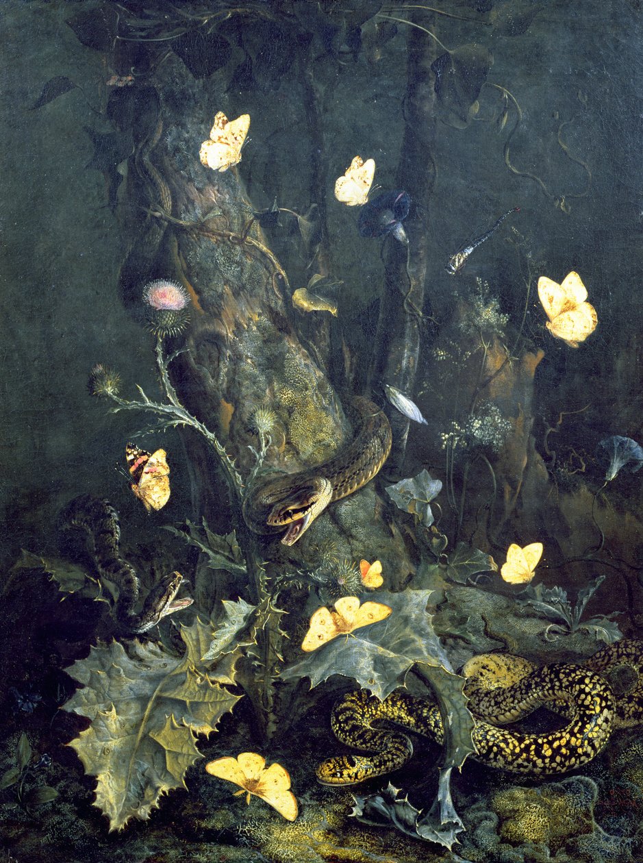 Slangen en Vlinders, 1670 door Otto Marseus  van Schrieck