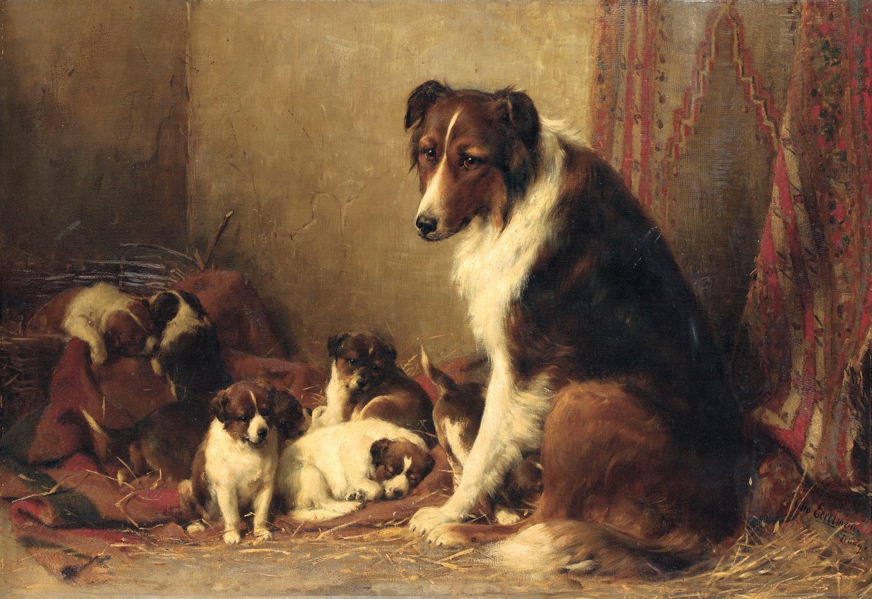 Een collie met haar puppy