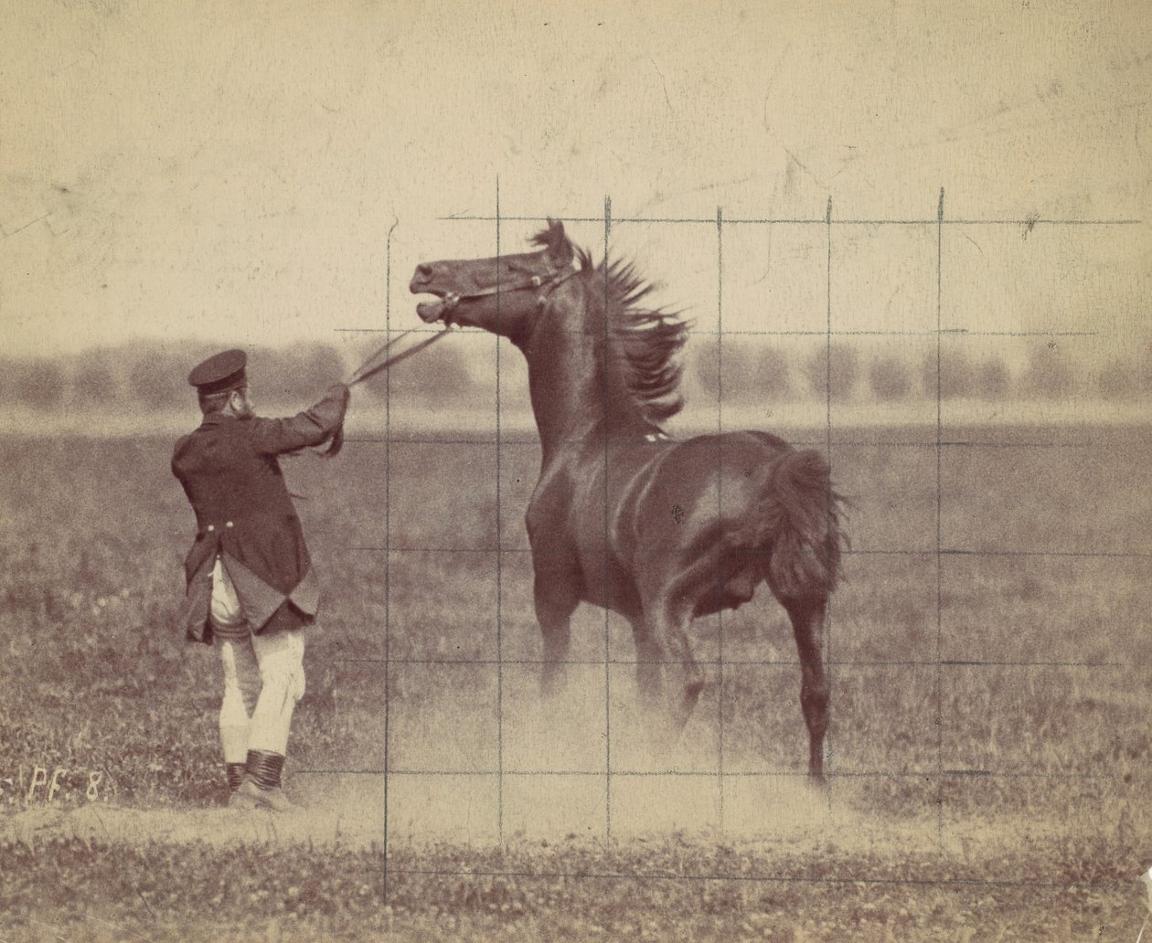 Paard, 1884 door Ottomar Anschütz