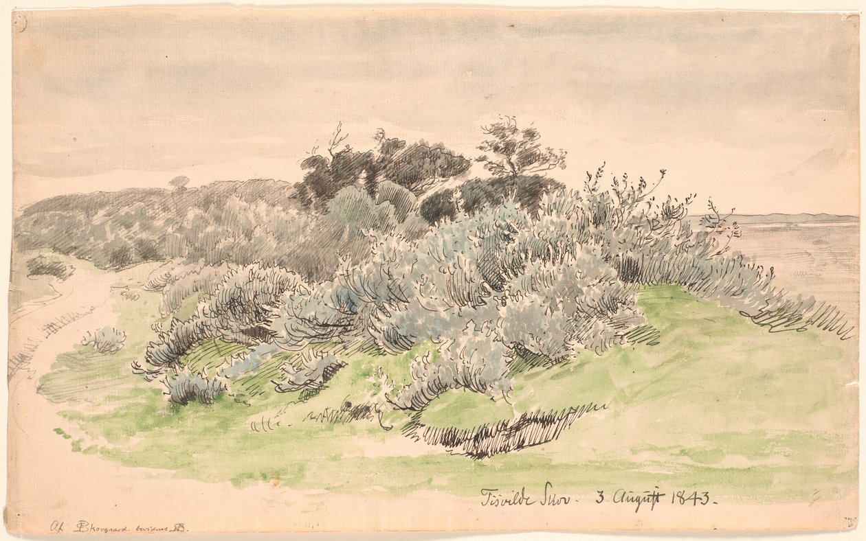 Landschap met struikgewas door P.C. Skovgaard