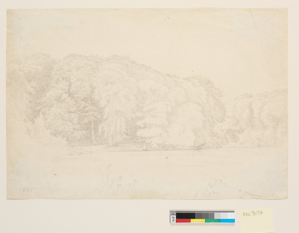 Bosmeer met grote beuken op de achtergrond door P.C. Skovgaard