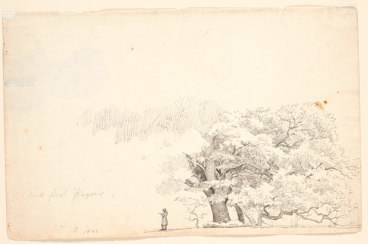 Grote eikenbomen, links een lezende man door P.C. Skovgaard