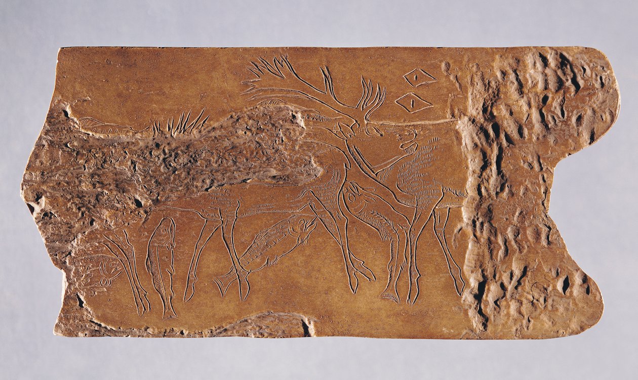 Rendiergewei gegraveerd met herten en springende zalmen, uit de Grotte de Lortet, Magdalénien, 15000-18000 v.Chr. (gewei) door Paleolithic
