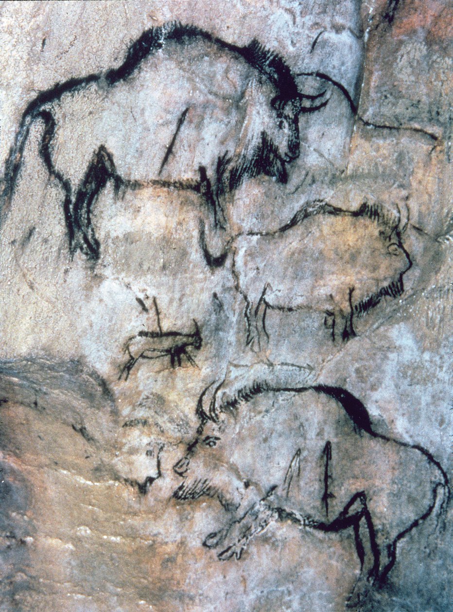 Gewonde Bison, Magdalénien door Paleolithic Paleolithic