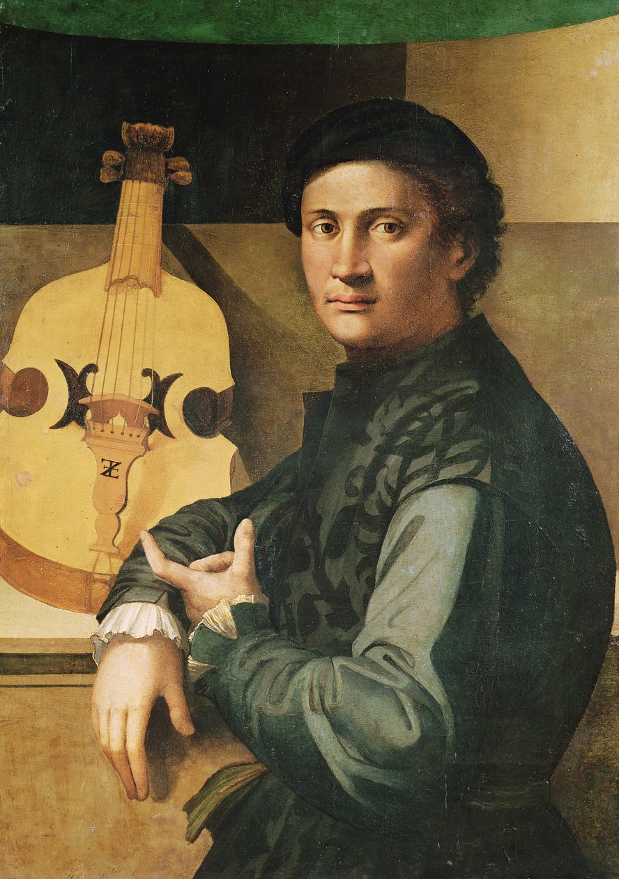 De violist door Paolo Zacchia