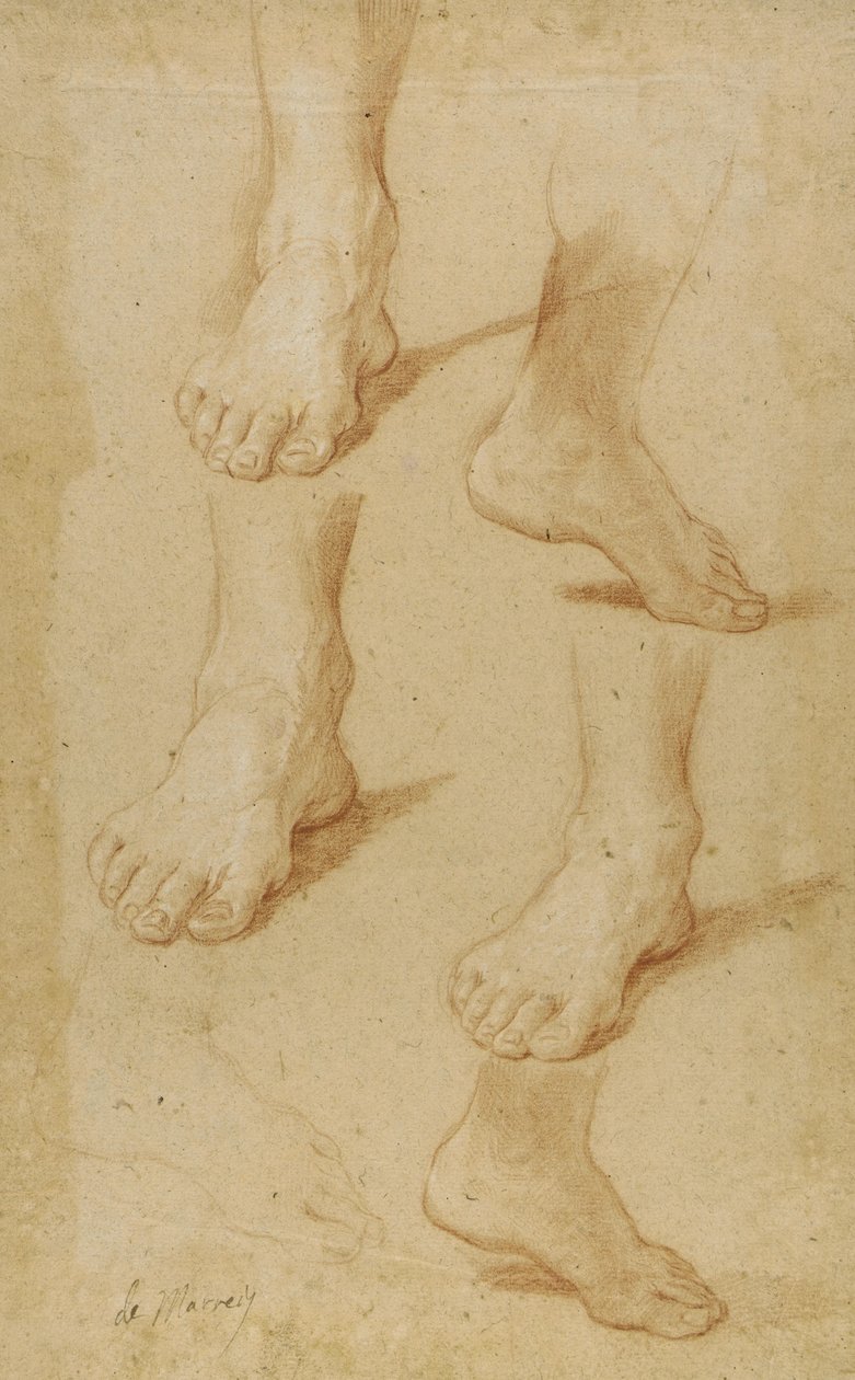 Tekening door Paolo de Matteis