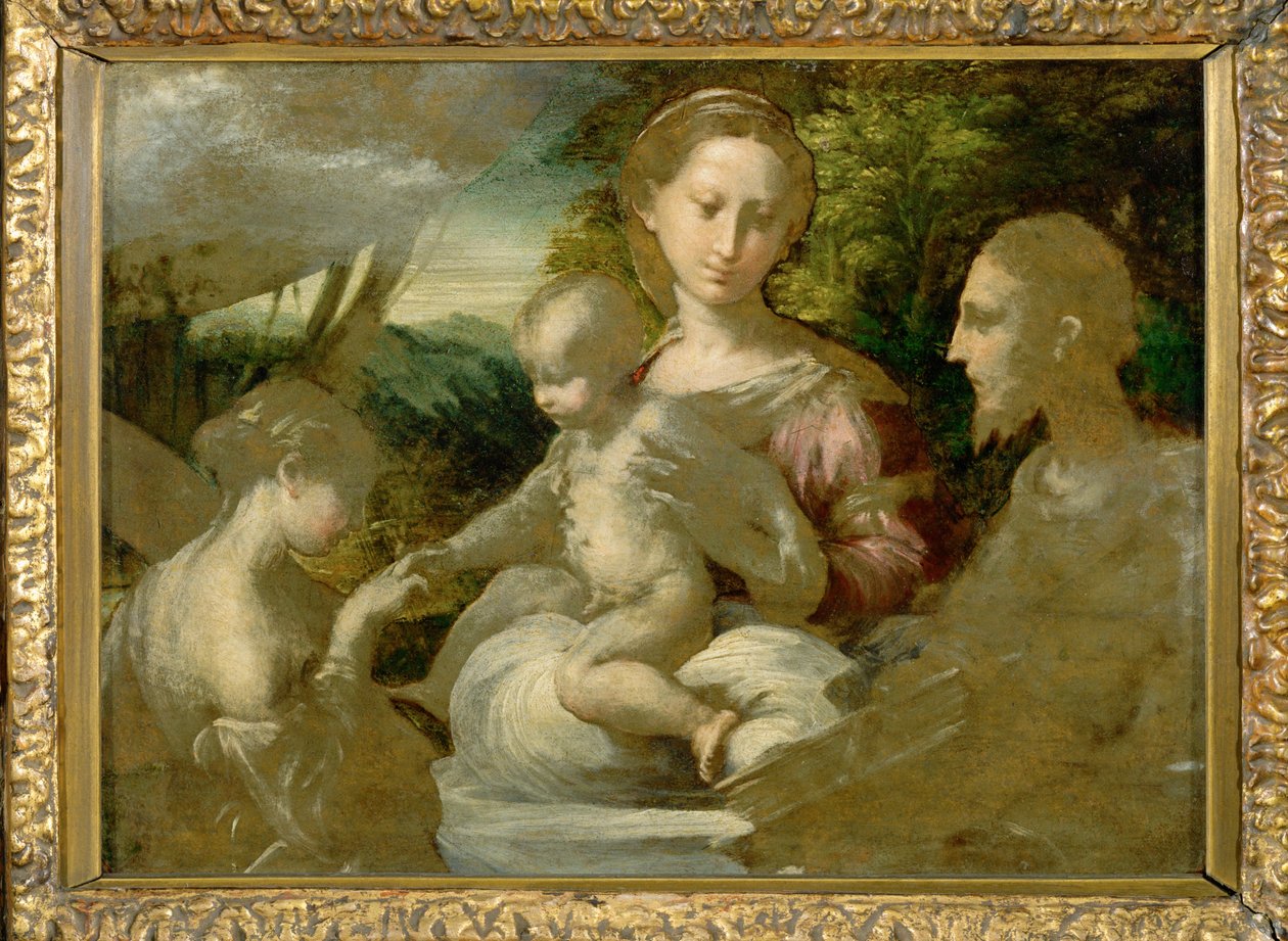 Madonna en heiligen ... door Parmigianino (1503 40)