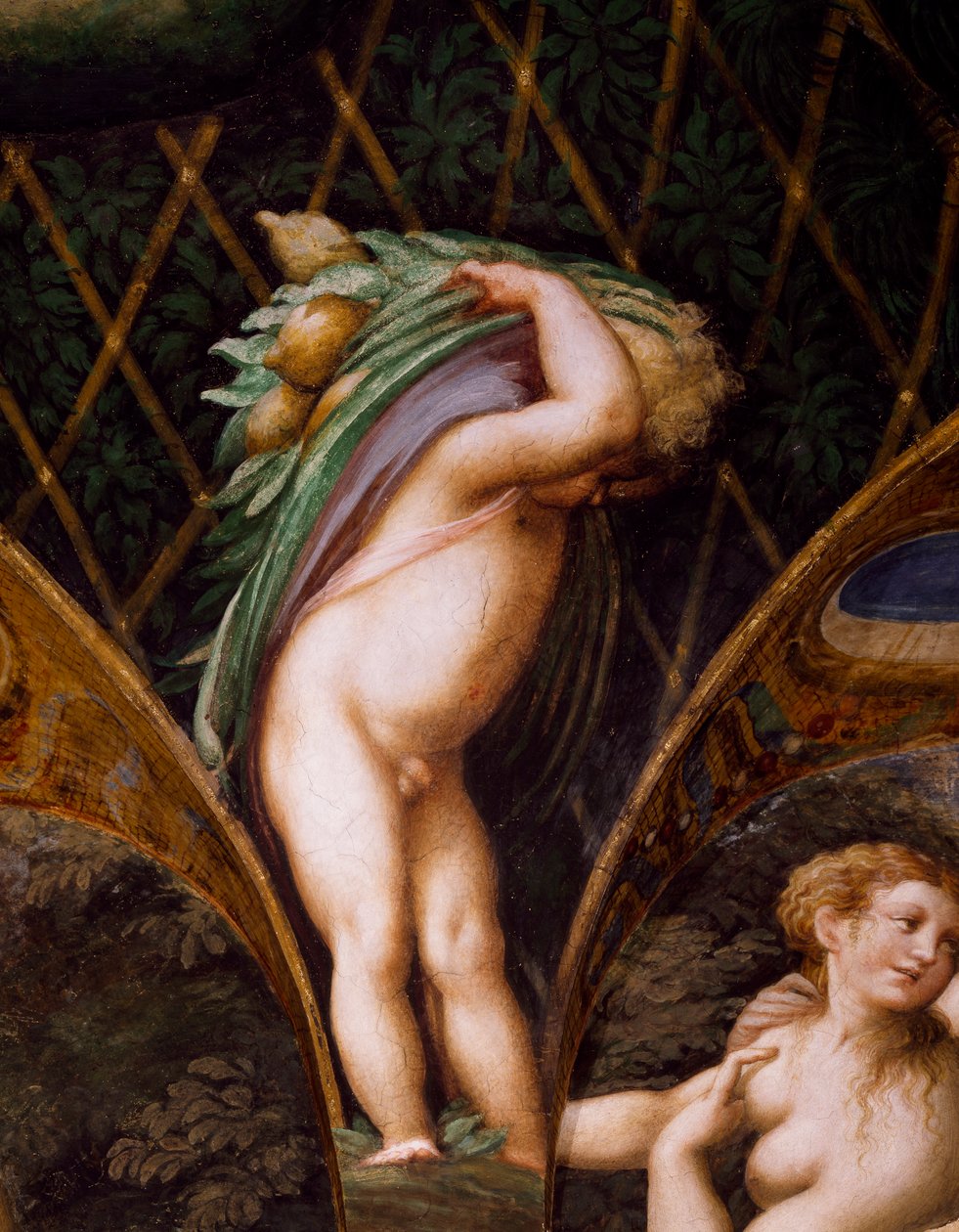 Putto, uit de Mythe van Diana en Actaeon door Parmigianino