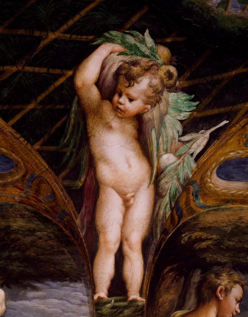 Putto, uit de Mythe van Diana en Actaeon door Parmigianino